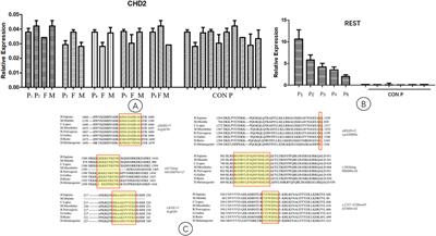 Clinical Study of 8 Cases of CHD2 Gene Mutation–Related Neurological Diseases and Their Mechanisms